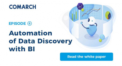[White Paper] Automation of Data Discovery with Business Intelligence Solution