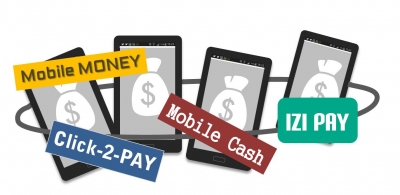 Interoperability between Mobile Money Services