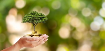Taking the Leap: How to Determine ROI on Capital Expenditures when Going Green