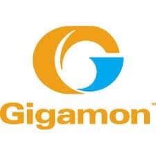 Gigamon Introduces NFV for Tools (NFVfT) for Efficient Big Data Processing by CEM, QoS Tools and OSS/BSS