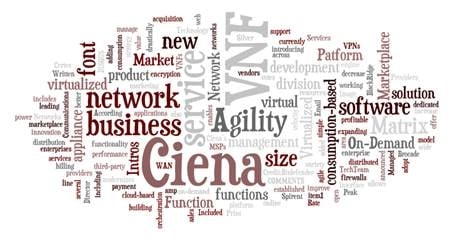 Ciena Intros On-Demand Virtualized Network Function (VNF) Platform &amp; VNF Marketplace