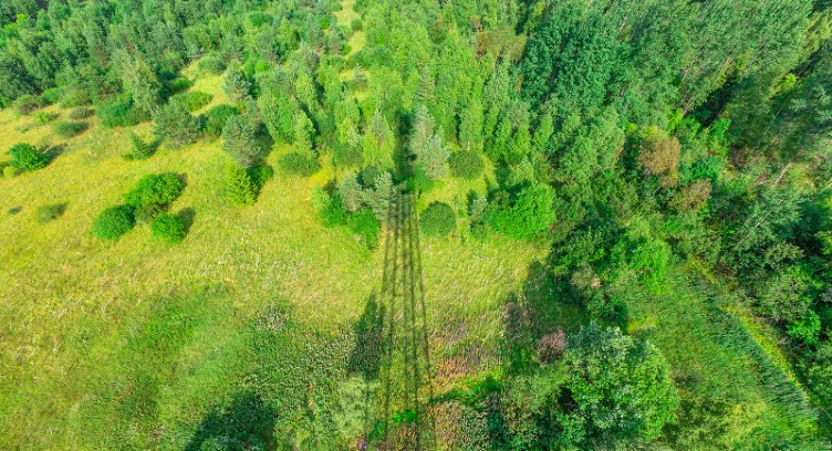 Genesis, Spark Unveil Decade-Long Commitment to Green Energy Initiative - Vimarsana News