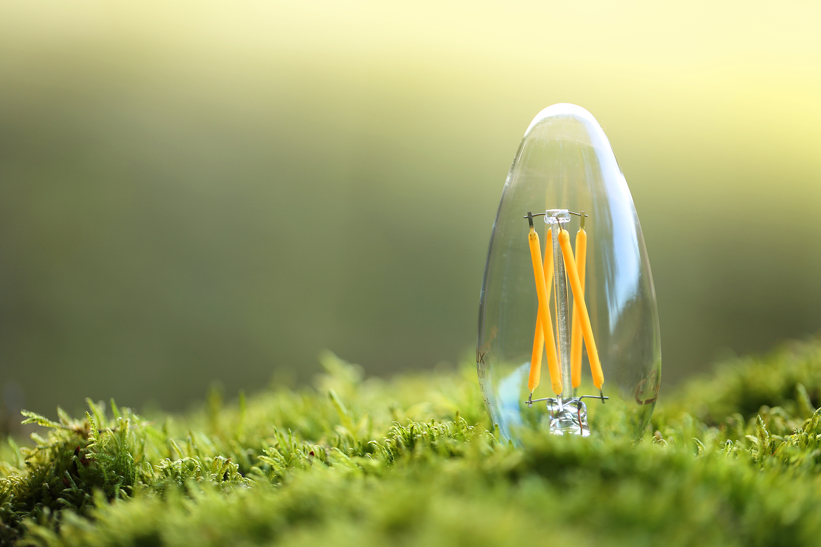 How a Standardized Telecom Data Foundation Can be the Key to Driving Energy Sustainability