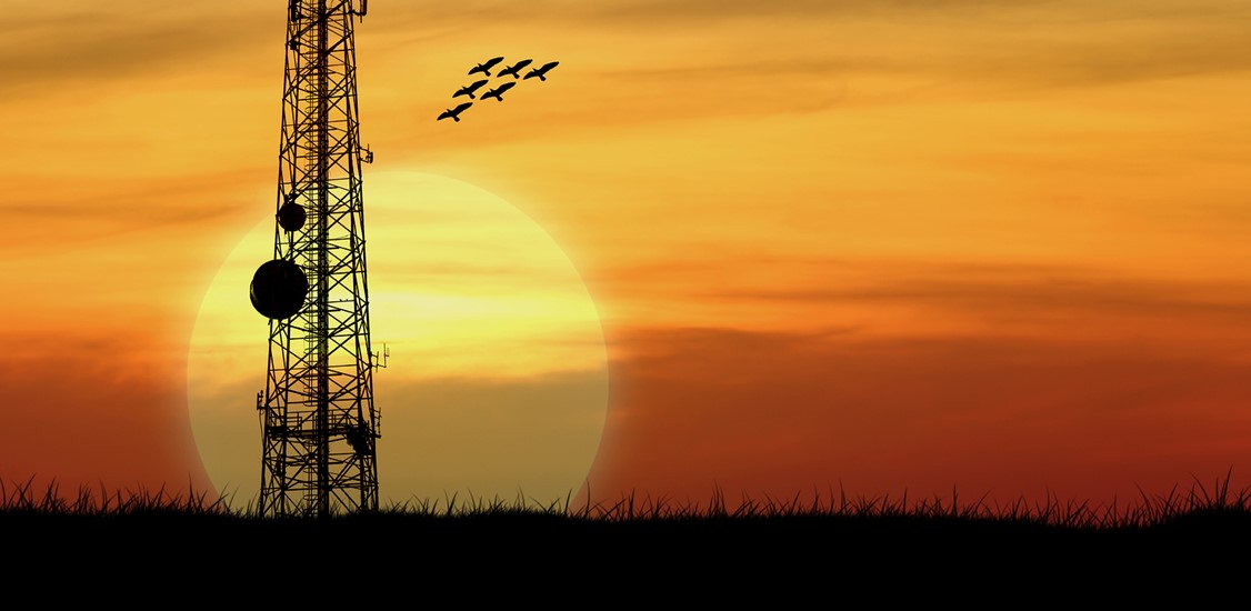 Sharing Cellular Spectrum Is the Right Model at the Right Time