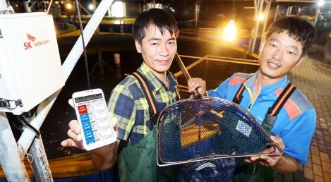 SK Telecom Runs Pilot Operation of IoT-based Fish Farm Management System